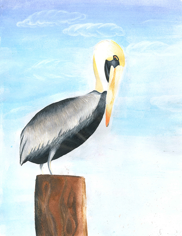 618x800 Childrens Art Contest