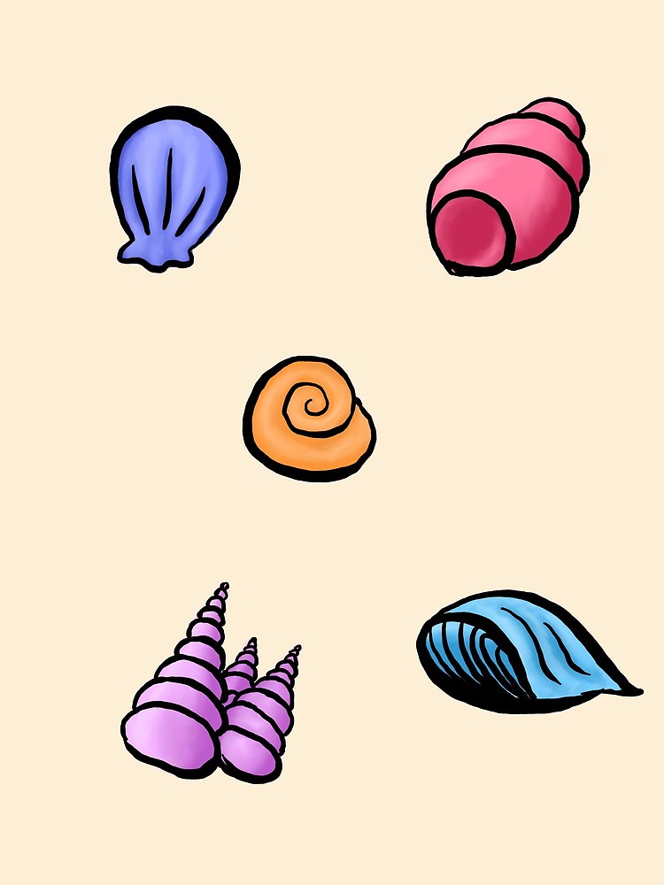 750x1000 Seashells