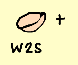 300x250 She Sells Seashells