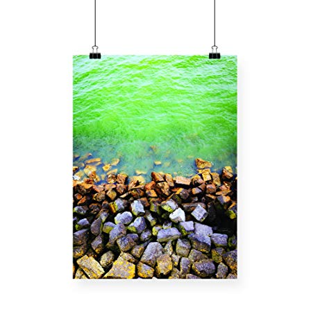 448x450 Water Seashore Seaside Waterfront Stones Rocks Art Fantasy