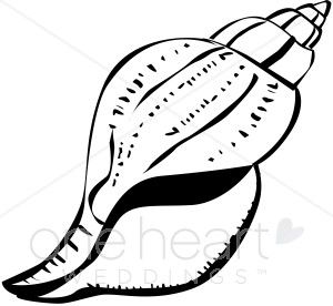 300x276 Black And White Seashells Drawings Sea Shell Clipart Beach