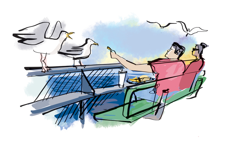 780x502 Things You Can Only Do Around Seattle In The Summer