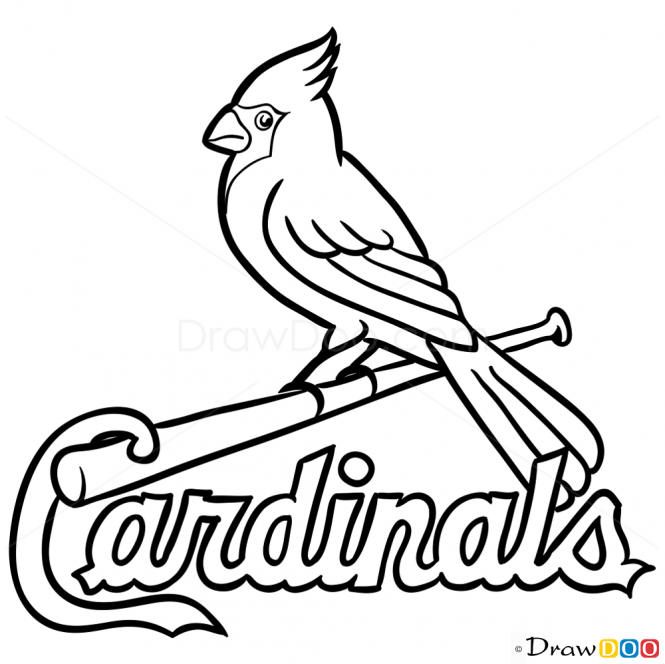 665x664 Cardinal Drawing Logo Seahawks For Free Download