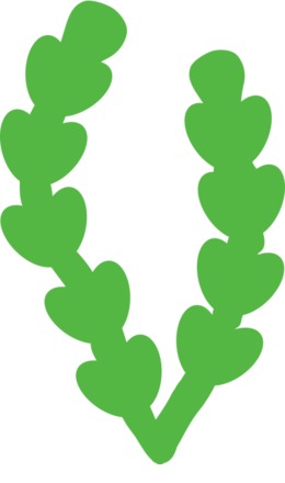 260x440 Seaweed, Drawing, Cartoon, Transparent Png Image Clipart Free