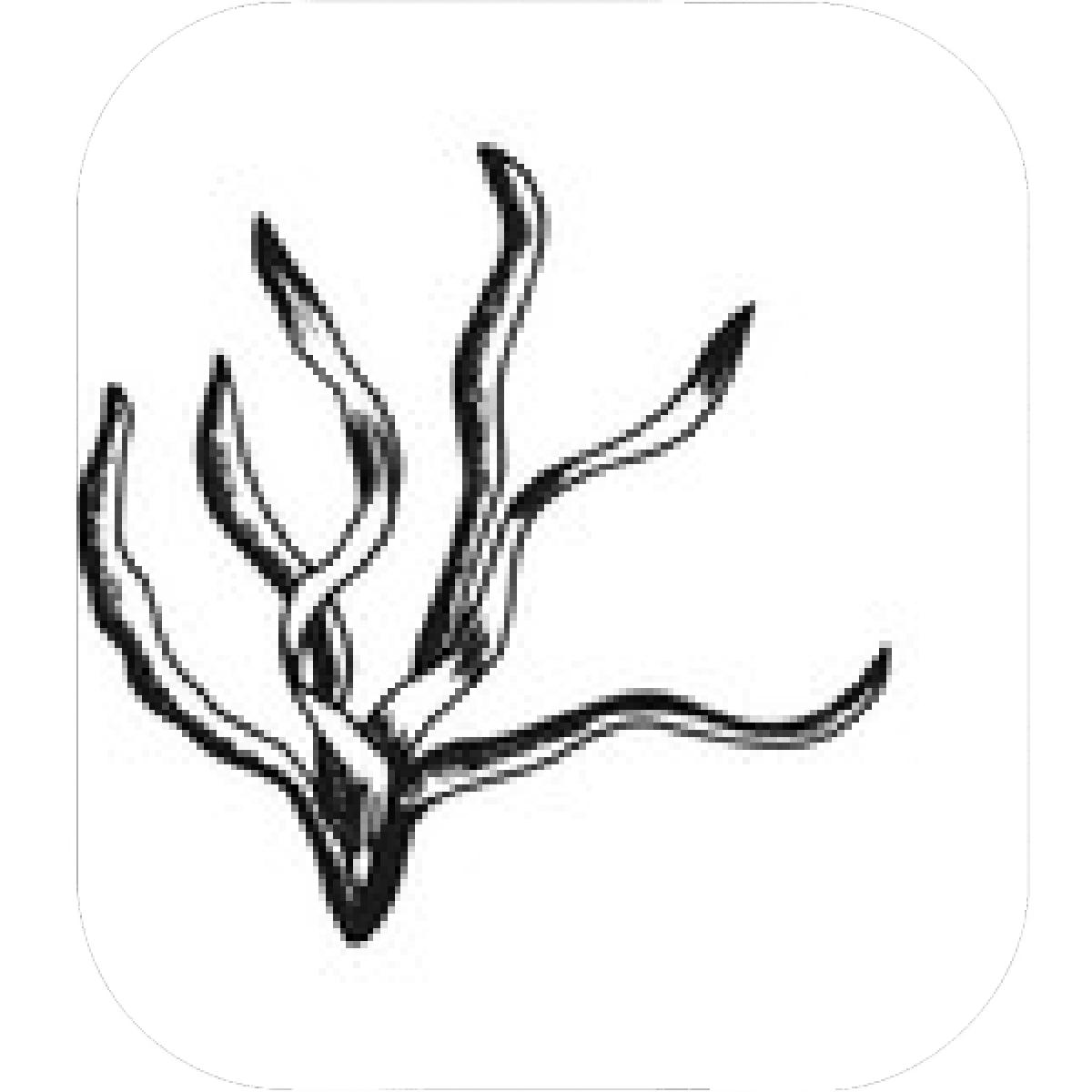 1200x1200 Designs Mein Mousepad Design Mousepad Selbst Designen