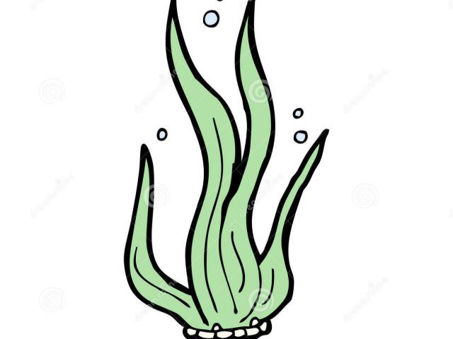 640x480 Drawn Seaweed Underwater