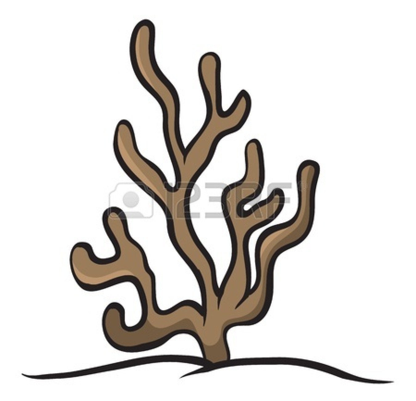 1350x1299 Kelp Clipart No Background Collection