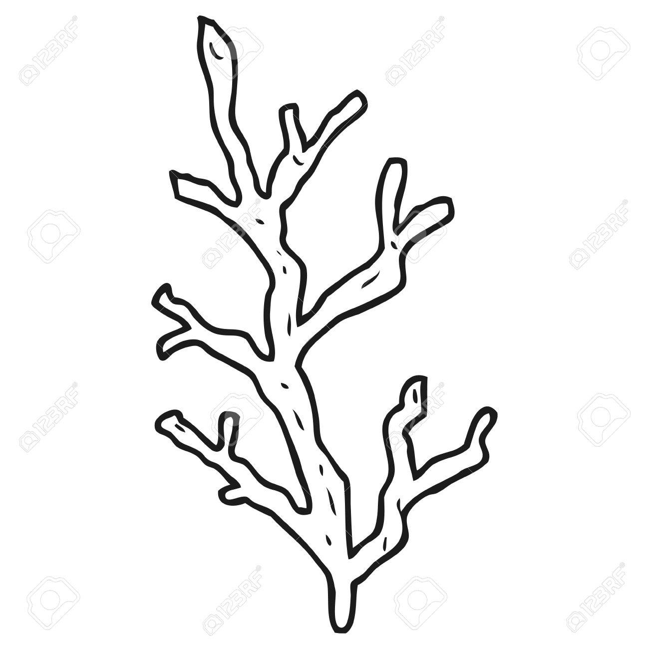1300x1300 Seaweed Clipart Black And White