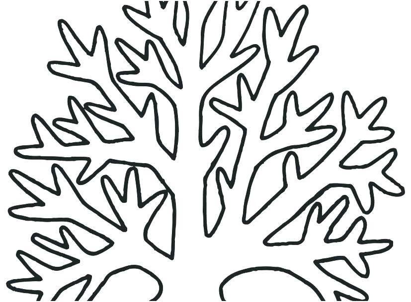 827x609 Seaweed Pictures To Color Coloring