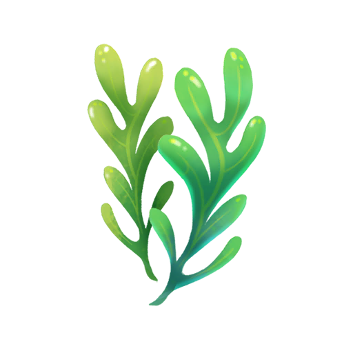 512x512 Seaweed Transparent Png Clipart Free Download