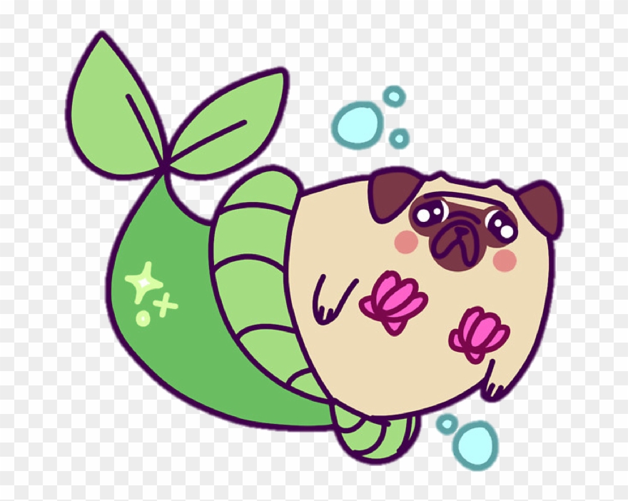 880x702 Seaweed Underwater Clipart