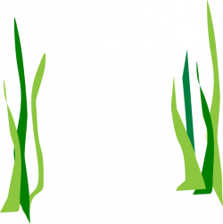 250x251 Seaweed Silhouette Png, Picture
