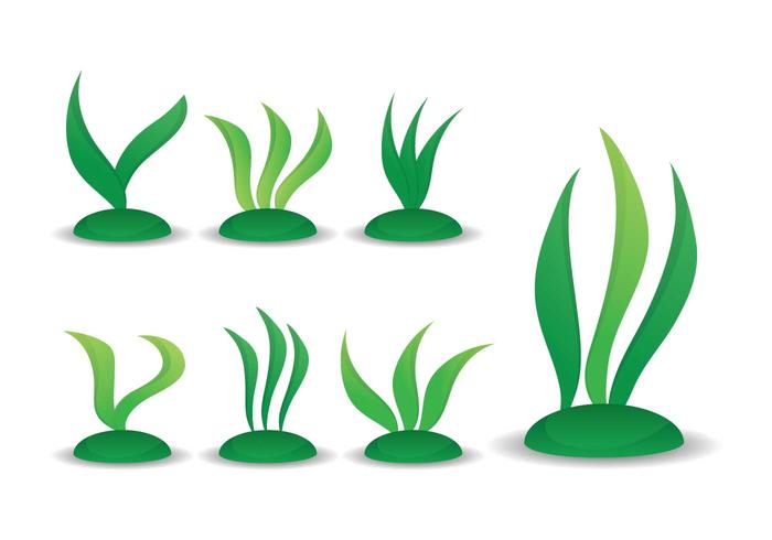 700x490 Seaweed Vector Set