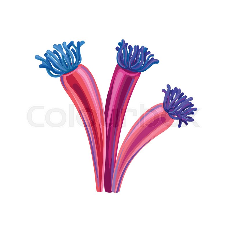 800x800 Underwater Seaweed, Aquatic Marine Stock Vector Colourbox