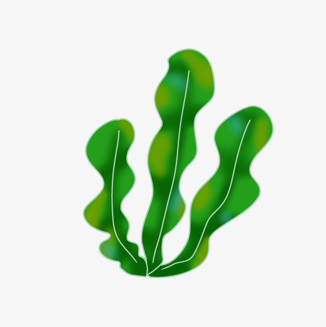 650x651 Cartoon Seaweed Hand Drawn Underwater Decoration Image