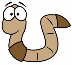 233x210 mrs fuhs' second grade scholars weebly websites worm drawing