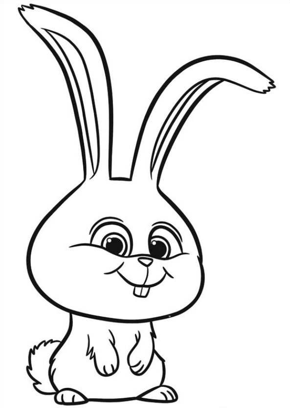 593x832 Rabbit Drawing Secret Life Pets For Free Download