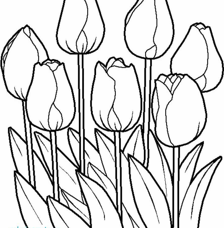886x900 Home Garden Gardening Coloring Pages For Kids Awesome