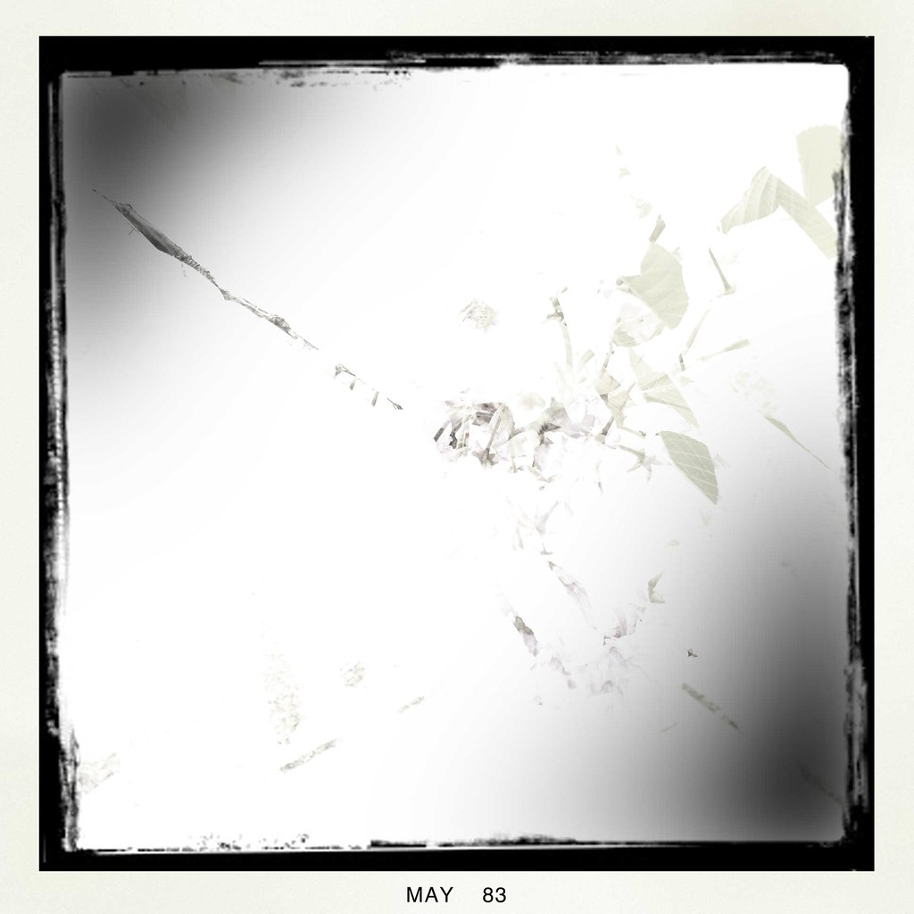 1024x1024 Img My Secret Garden