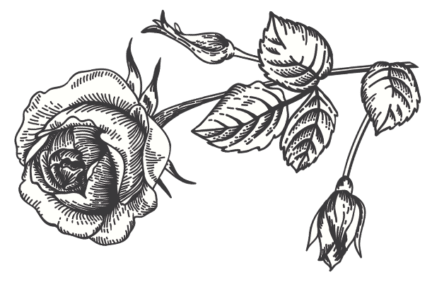 611x399 The Secret Garden Flowers