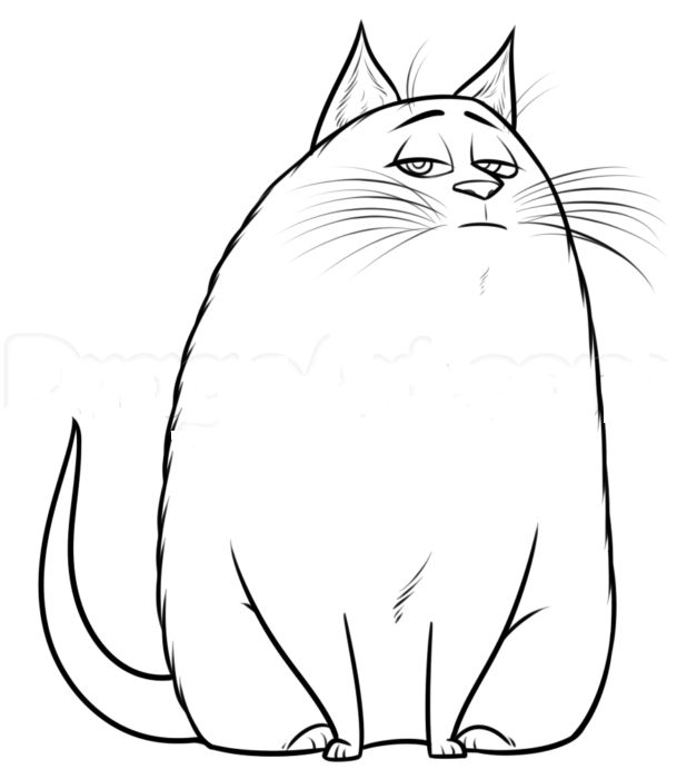 609x700 How To Draw A Cat Chloe From The Secret Life Of Pets