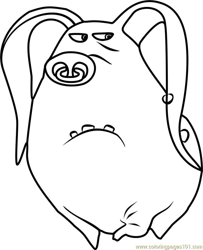 651x800 Unique The Secret Life Of Pets Coloring Pages Coloring Page