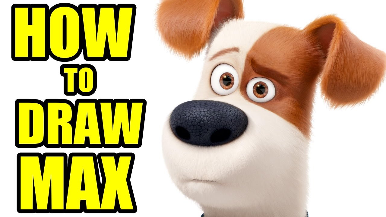 1280x720 How To Draw How To Draw Max From The Secret Life Of Pets Step