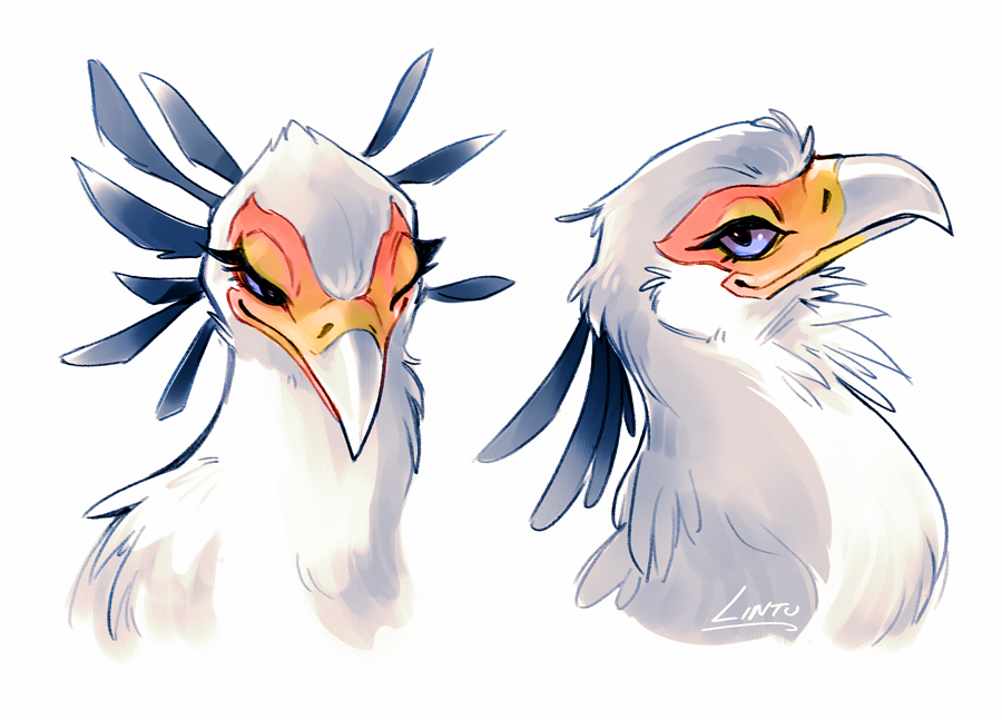 900x647 Lintu On In Animals Bird Drawings, Art, Bird Art