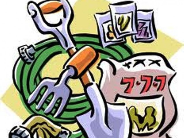 640x480 Fertiliser Sector Seeks Gas Diversion From Power Plants