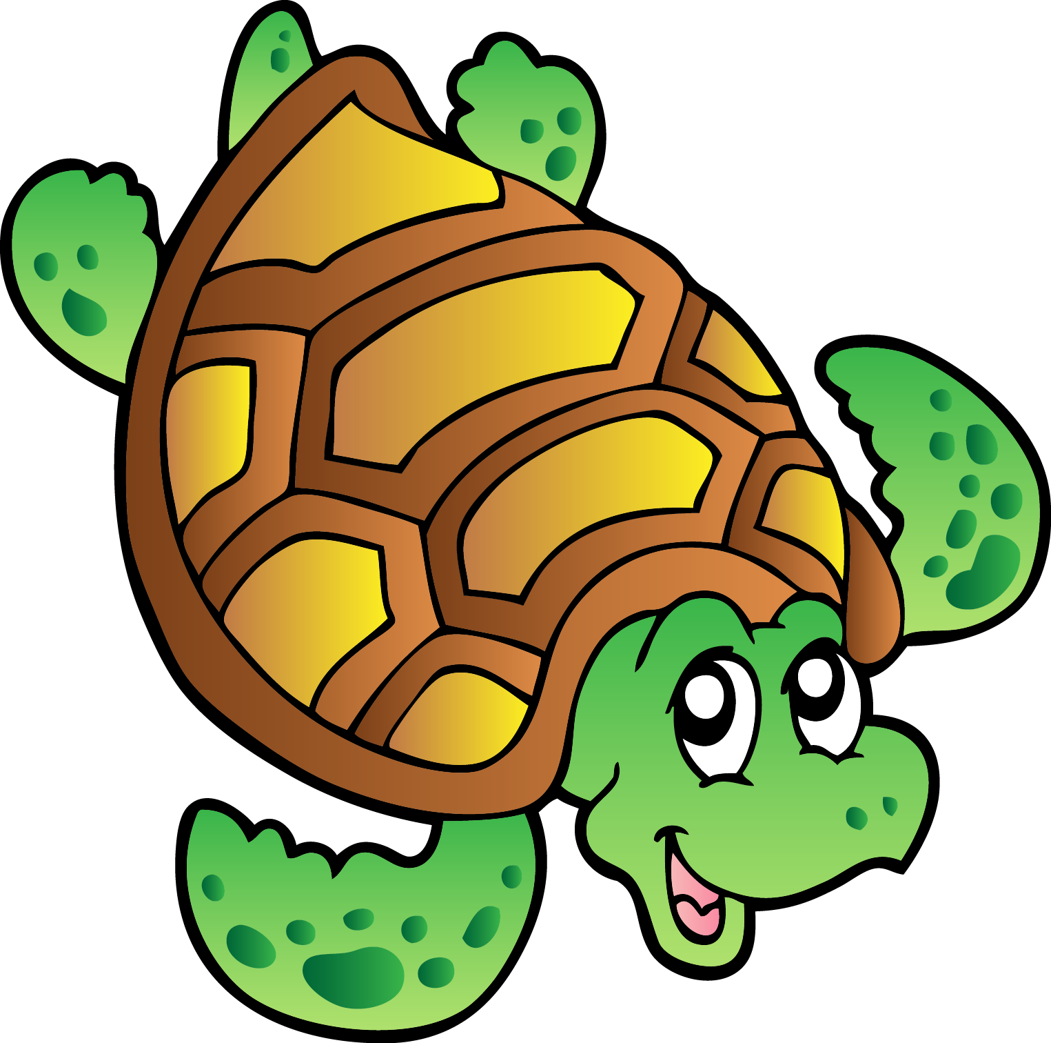 1525x1512 Turtle Cartoon Drawing