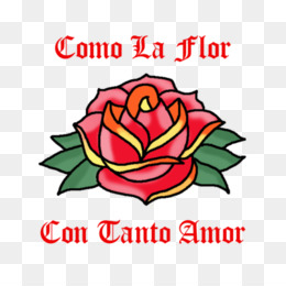 260x260 Selena Quintanilla Png And Selena Quintanilla Transparent Clipart