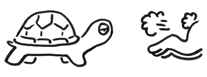 700x263 Being A Slow Burn Tortoise In A World Of Self Improvement Hares