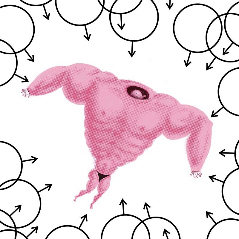 800x800 Sissies Machos