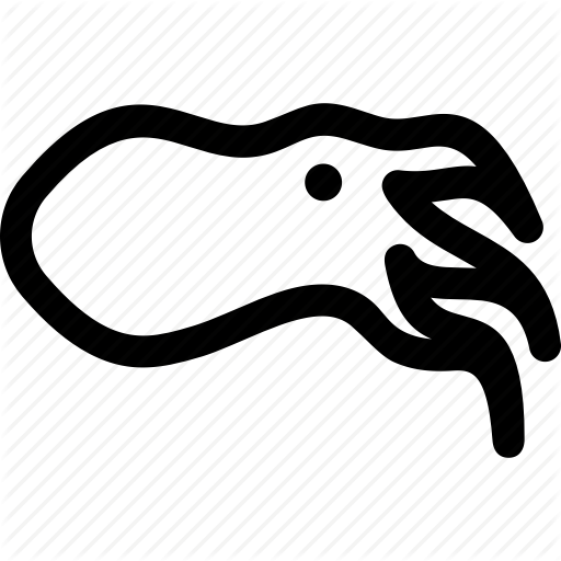 512x512 sepia drawing cuttlefish, picture