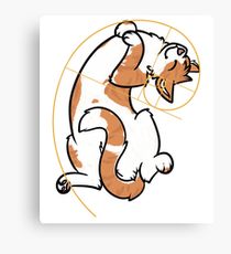 210x230 Fibonacci Sequence Drawing Canvas Prints Redbubble