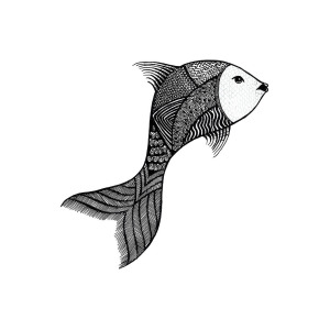 300x300 Fish Series Drawing