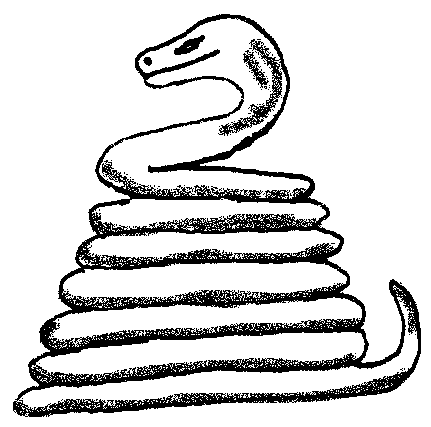 431x427 Serpent Clipart Snake Drawing