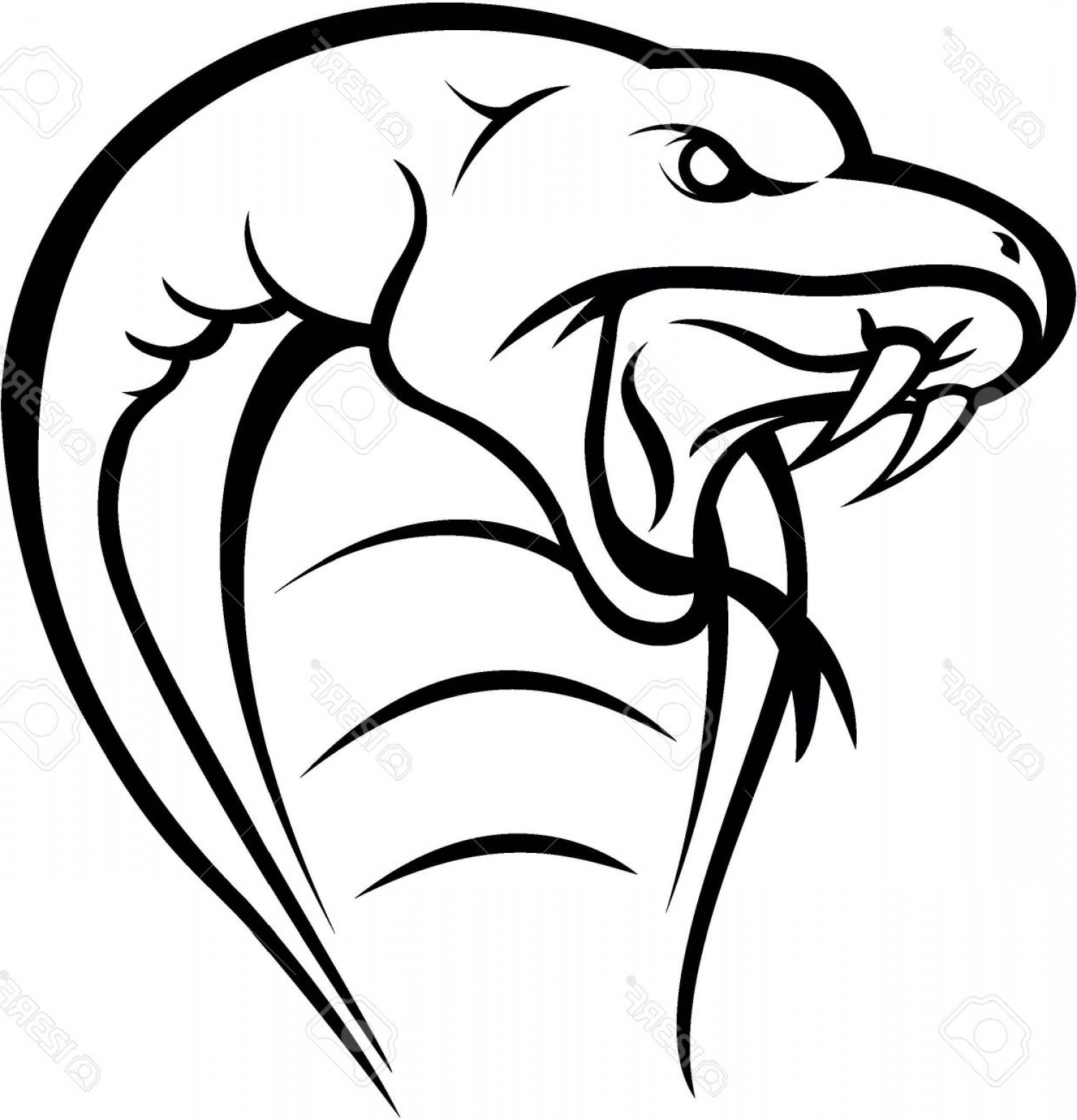 1501x1560 Vector Snake To Draw Studiogrfx