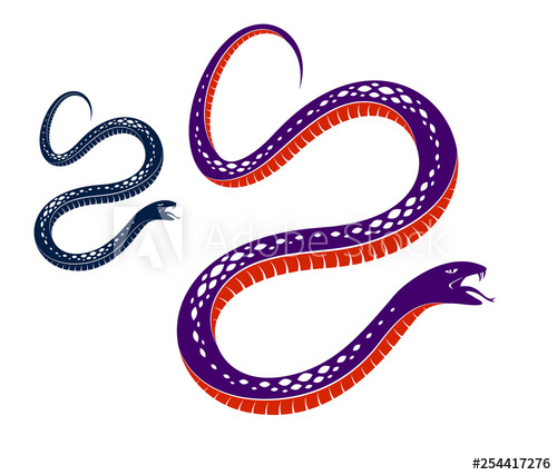 500x427 Venomous Snake Vintage Tattoo, Vector Drawing Of Aggressive