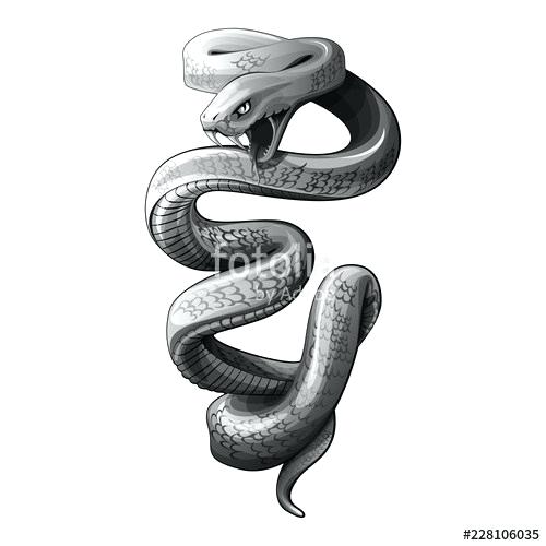 500x500 How To Draw A Serpent