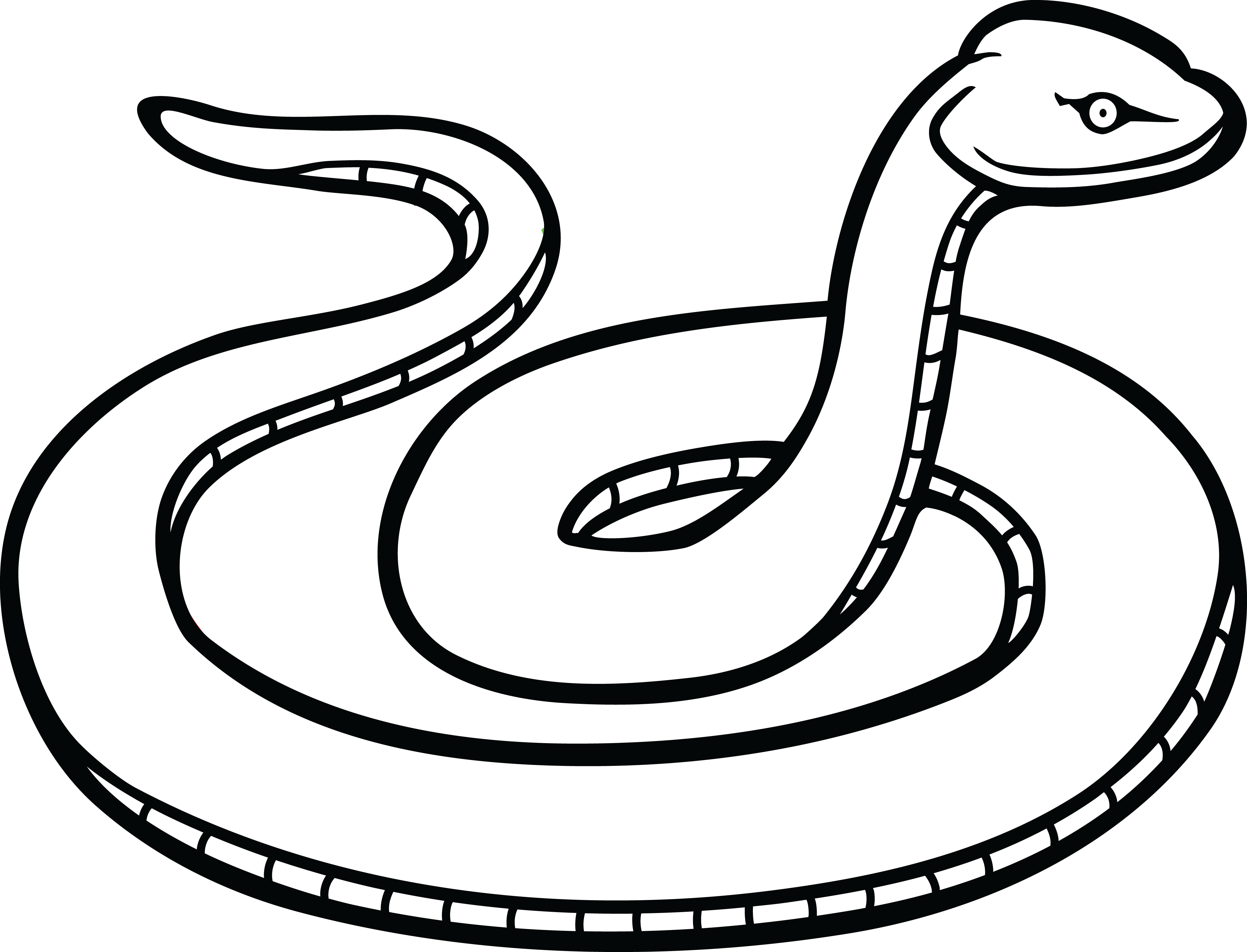 4000x3054 Collection Of Free Serpent Drawing Easy Download On Ui Ex