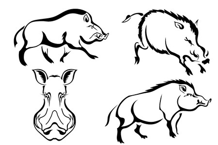 450x300 Set Of Black Vector Images Of Wild Boars Abstract Drawings