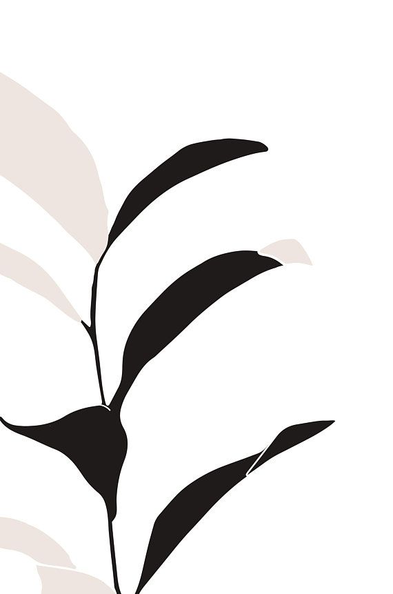 570x861 Botanical Drawings Set Of Botanical Prints Set, Minimal