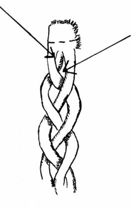 261x411 Springfield Greene County Library