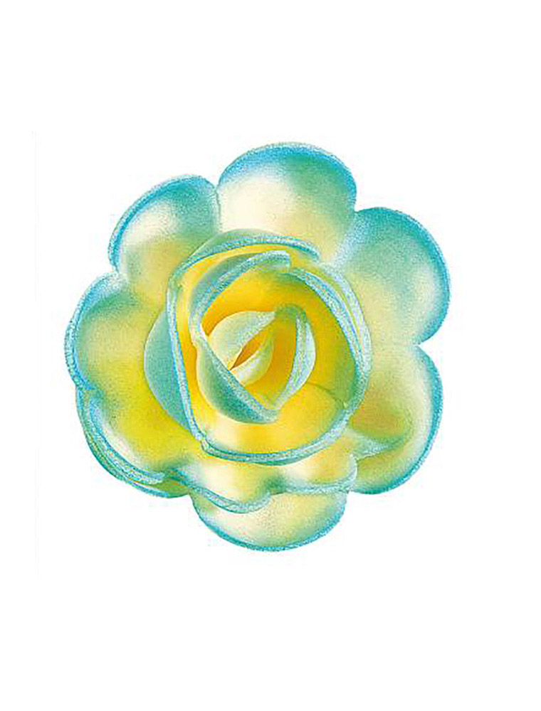 760x1000 Big Shaded Rose Assorted Colours