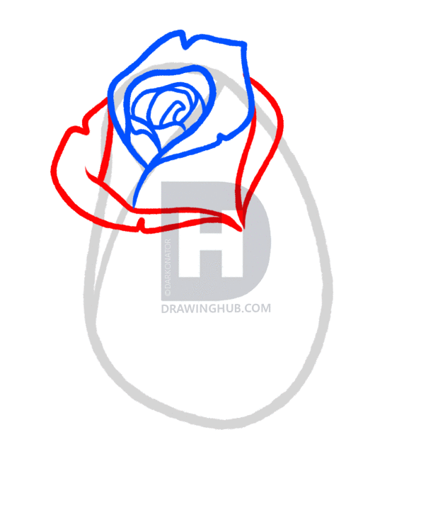 619x720 How To Draw A Rose Bud, Rose Bud, Step
