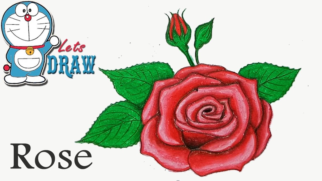 1280x720 How To Draw Rose With Oil Pastel Step