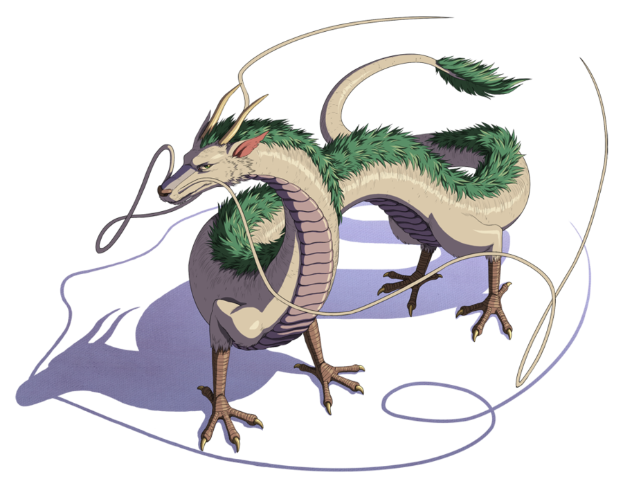 900x692 Collection Of Free Fur Drawing Shading Download On Ui Ex