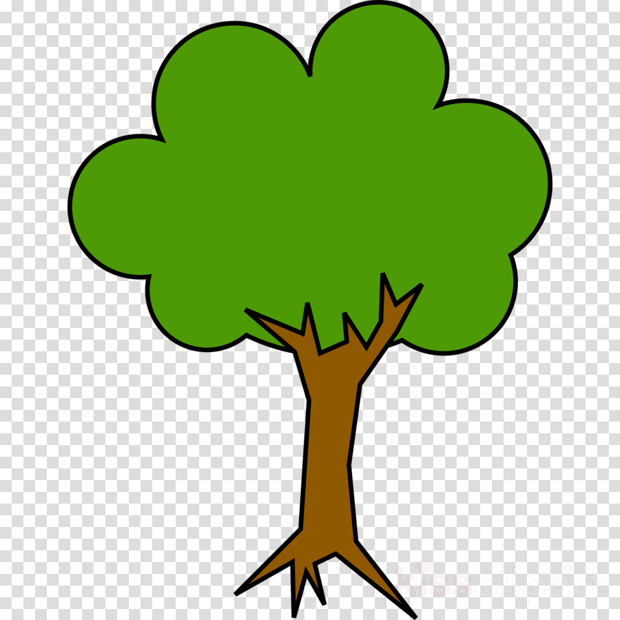 900x900 Tree, Drawing, Green, Transparent Png Image Clipart Free Download
