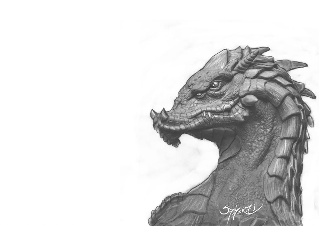 1024x725 Dragon Sketch And Shading